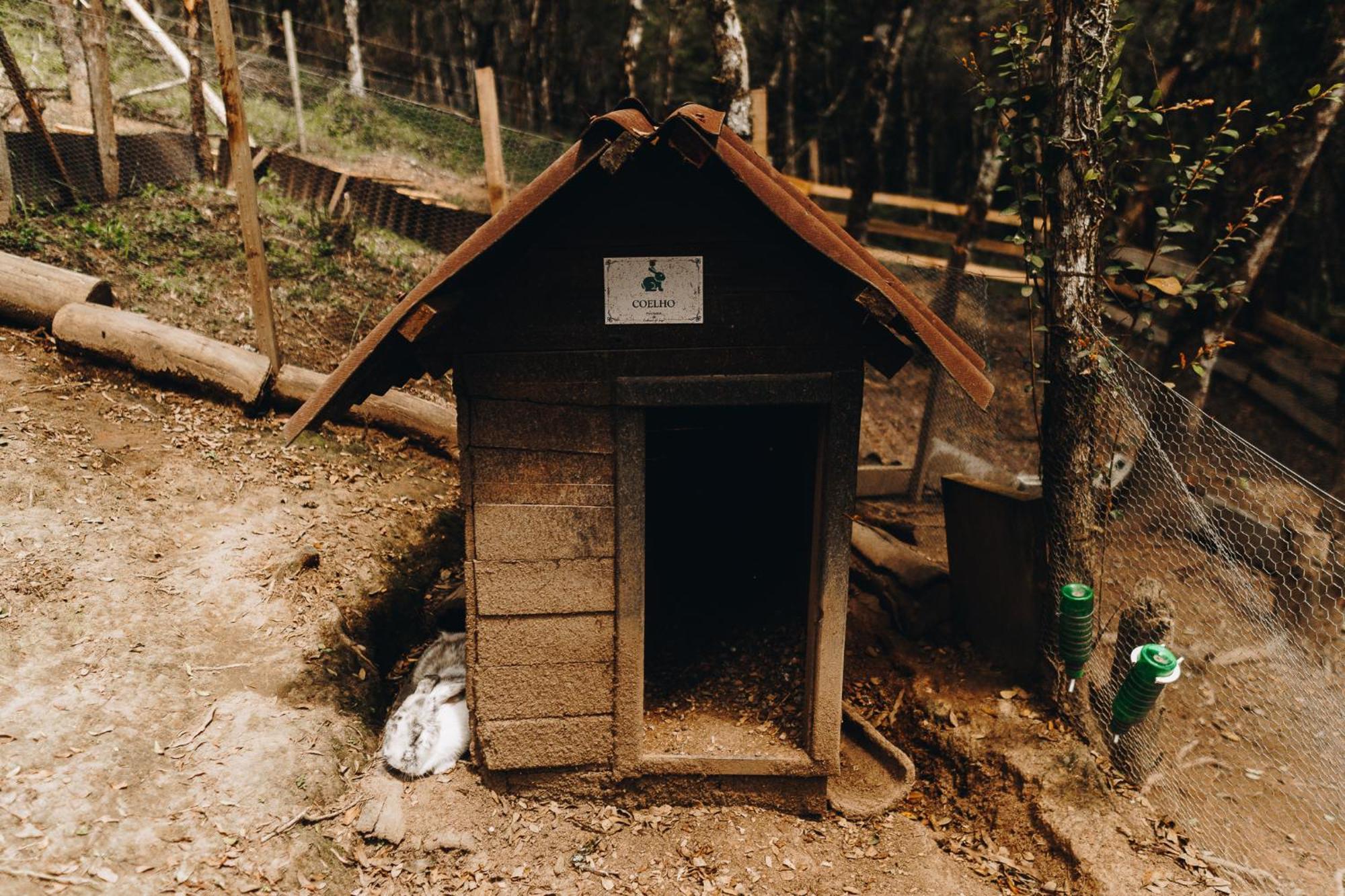 Chale Harmonia Da Floresta- Pousada Cachoeira Da Neve Urubici Exterior foto